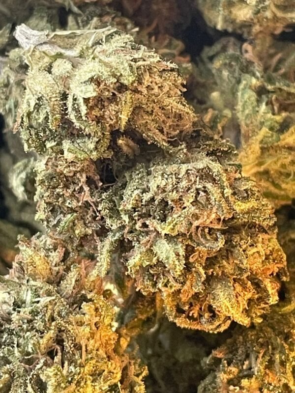 1g Fleur(Bruce Banner)